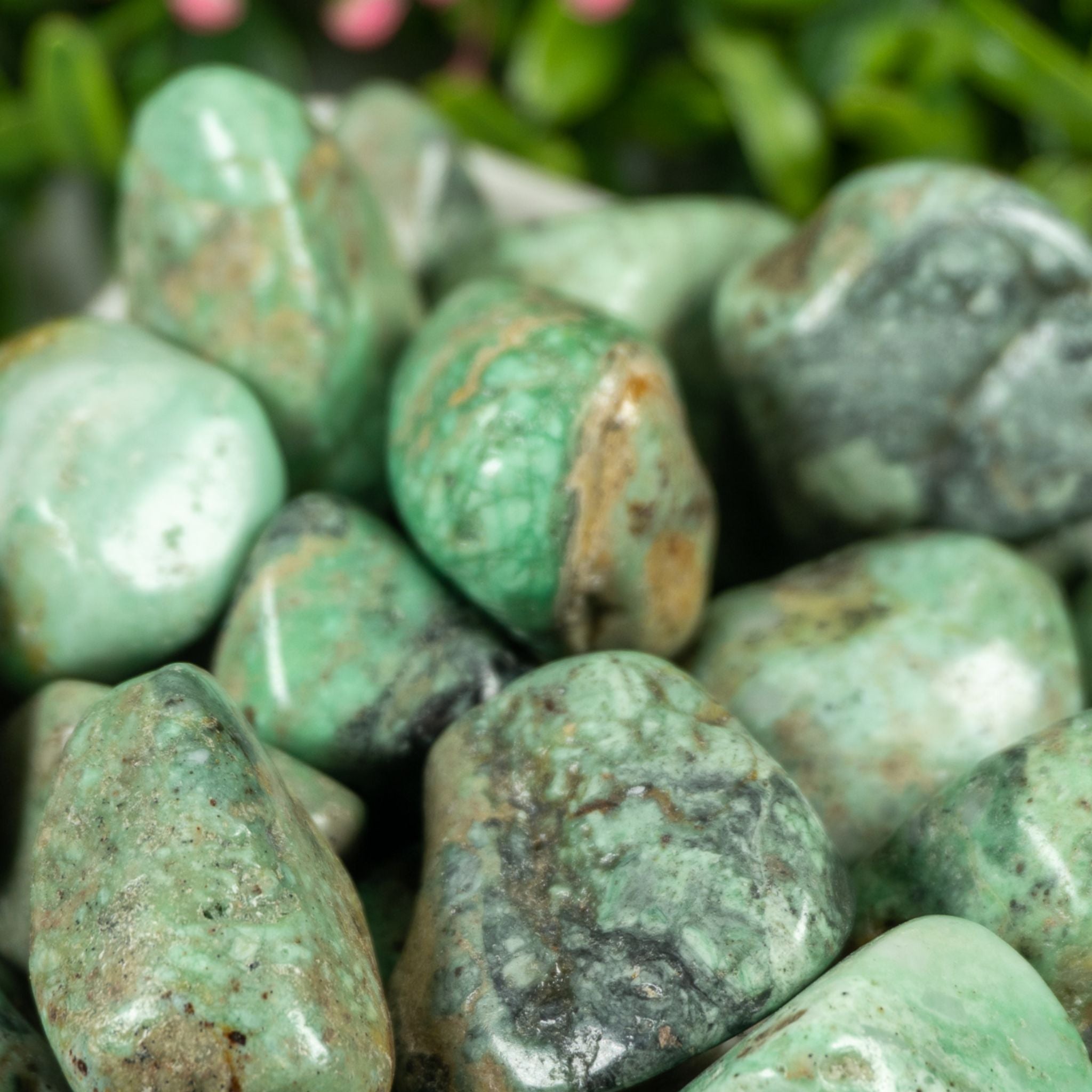 Serpentine | Variscite